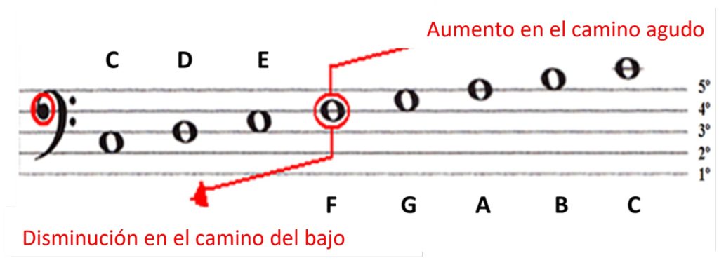 notas representadas en la clave de fa
